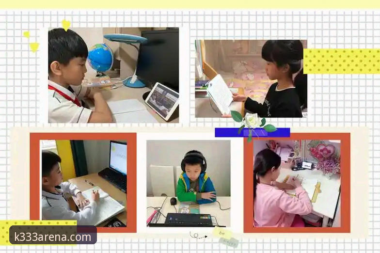 333体育平台新手操作教程：从体育竞技体验到客户端安装全攻略